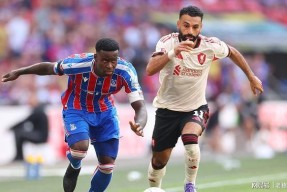 包含社区盾冲刺阶段再迎强敌；曼联内部沟通；主帅态度——态度坚定；轮换策略成焦点的词条